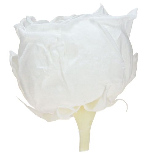 Artikel Infinity Rosen Echte konservierte Rosenköpfe Weiß Ø6cm 6 St - Zeitlos dekorative Eleganz
