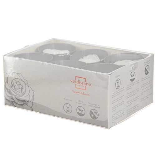 Artikel Infinity Rosen Echte konservierte Rosenköpfe Weiß Ø6cm 6 St - Zeitlos dekorative Eleganz