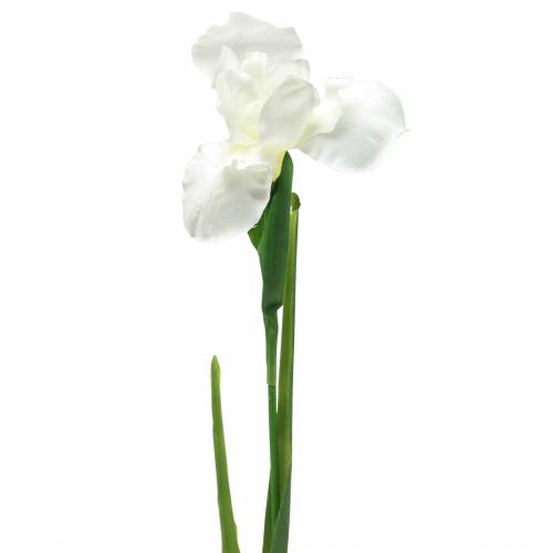 Floristik21 Schwertlilie künstlich Weiß 78cm