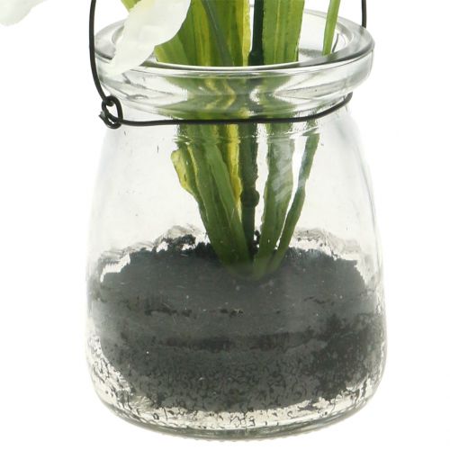 Floristik21 Schwertlilie Weiß im Glas zum Hängen H21,5cm