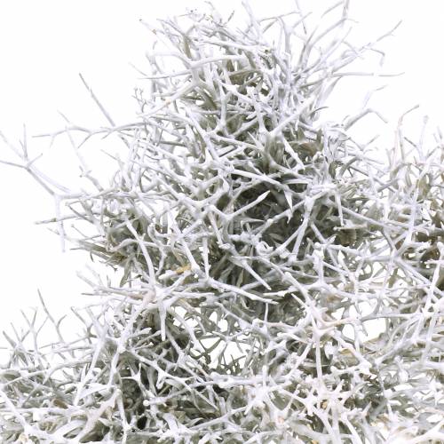 Ironbusch Pick gewachst weiß 10cm 5St