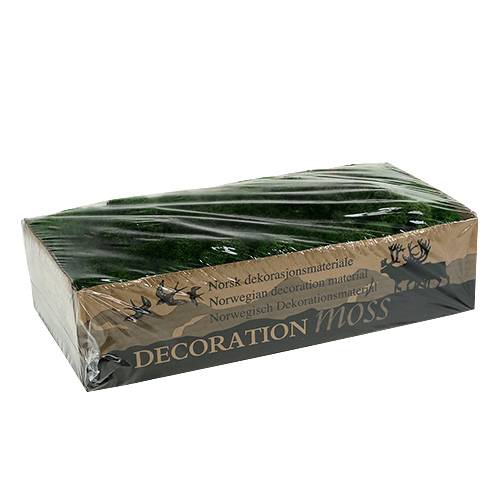 Moos Islandmoos Grün 500g