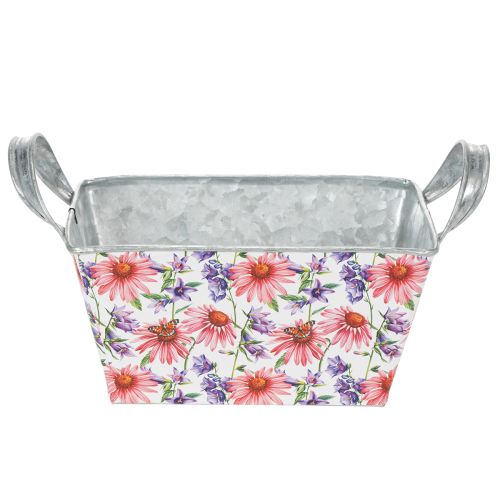 Jardiniere Frühling