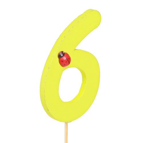 Artikel Jubiläumszahl „6“ Holzstecker Bunt für Geburtstag & Feier Deko, 16 Stück, 7cm