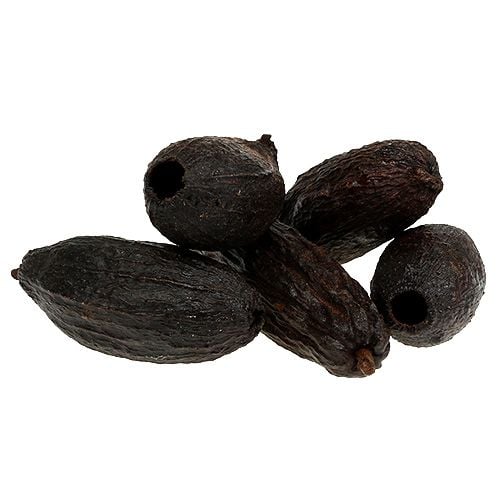 Kakaofrucht Natur 10-18cm 15St