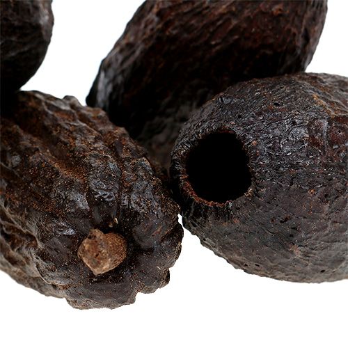 Artikel Kakaofrucht Natur 10-18cm 15St