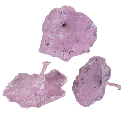 Floristik21 Kalix Pilz Lila, Weiß gewaschen 100 St