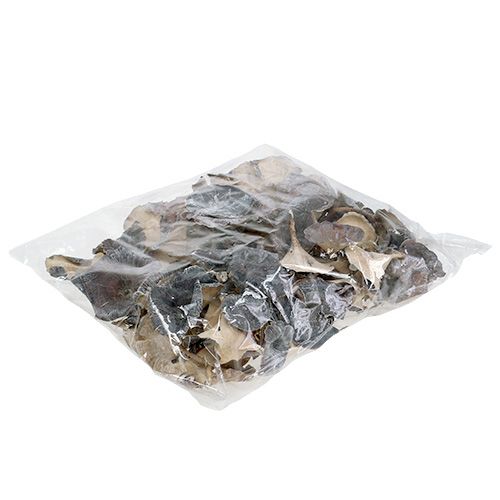 Floristik21 Kalix Pilz Weiß gewaschen 100 St