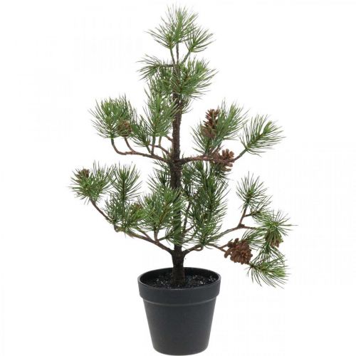 Künstliche Kiefer im Topf Weihnachtsbaum mit Zapfen 52cm