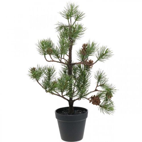 Floristik21 Künstliche Kiefer im Topf Weihnachtsbaum mit Zapfen 52cm