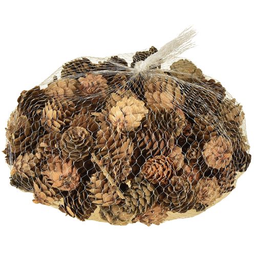 Kiefernzapfen Natur Deko 300g