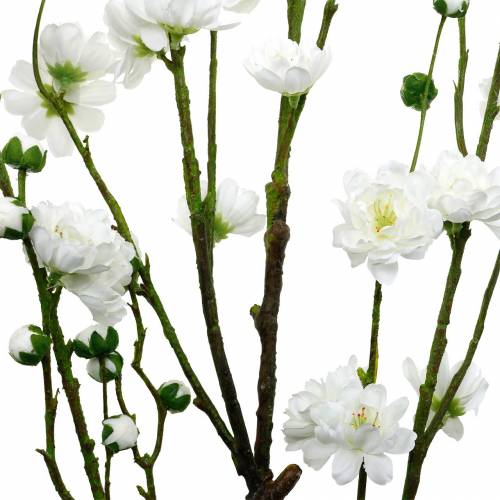 Floristik21 Kirschblütenzweig Weiß Künstlicher Dekozweig Kirschblüten Frühlingsdeko