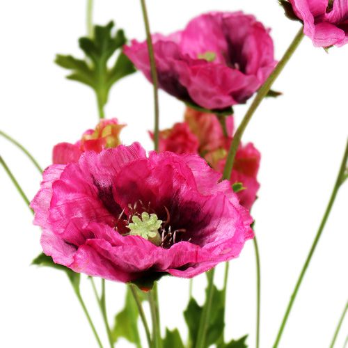 Floristik21 Klatschmohn Pink 63cm 3St