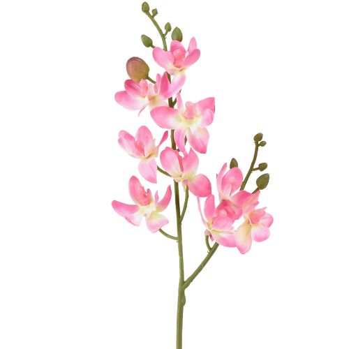 Floristik21 Kleine Orchidee Phalaenopsis Künstliche Blume Rosa Deko elegant 30cm