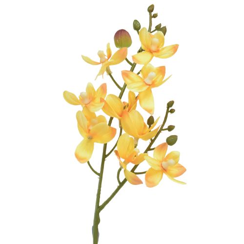 Floristik21 Kleine Orchidee Phalaenopsis künstlich Gelb 30cm