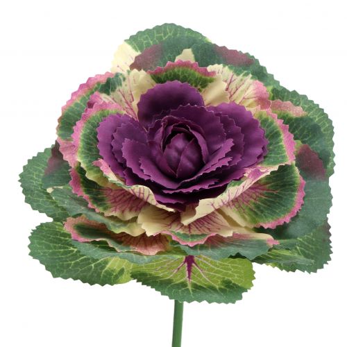 Floristik21 Künstlicher Zierkohl Violett, Grün 25cm 6St
