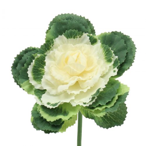 Floristik21 Künstlicher Zierkohl Weiß, Grün 25cm 6St