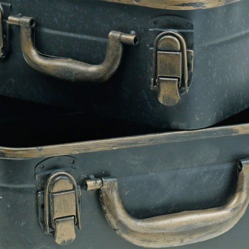 Metallkoffer, Pflanzgefäß, Koffer zum Bepflanzen L30/22,5cm 2er-Set