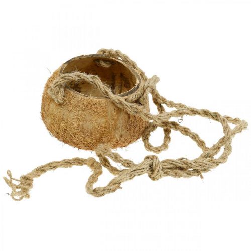 Artikel Kokosschale zum Hängen, natürliche Pflanzschale, Blumenampel Ø8cm L55cm