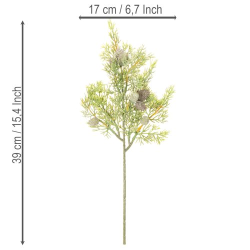 Koniferenzweig Kunststoff 39cm Grün mit Zapfen 4er-Set Innenbereich | Floristik21.de