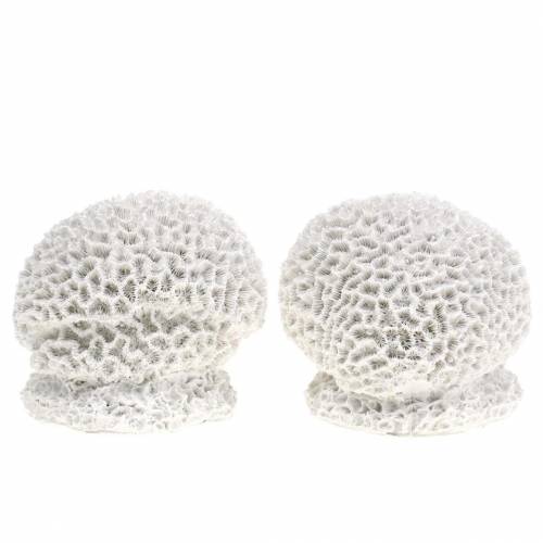 Maritime Deko Koralle Gips Weiß Ø10cm 2Stk Maritime Deko Koralle Gips Weiß Ø10cm 2Stk