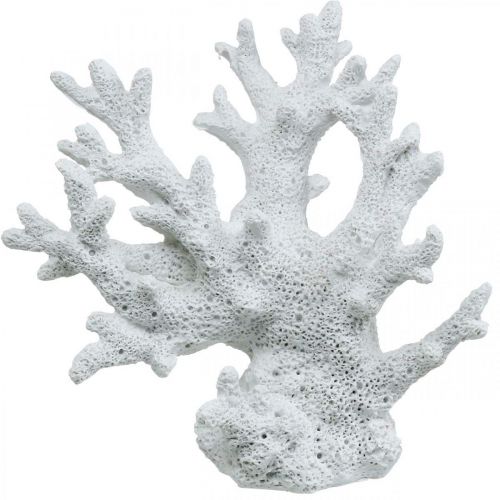 Floristik21 Maritime Deko Koralle Weiß Sommerdeko 14,5×14,5cm