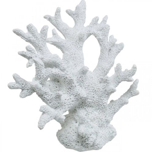Floristik21 Maritime Deko Koralle Weiß Sommerdeko 14,5×14,5cm