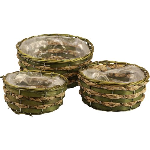Floristik21 Korb Pflanzkorb geflochten Grün 30×24/26×20/22×15cm 3er-Set