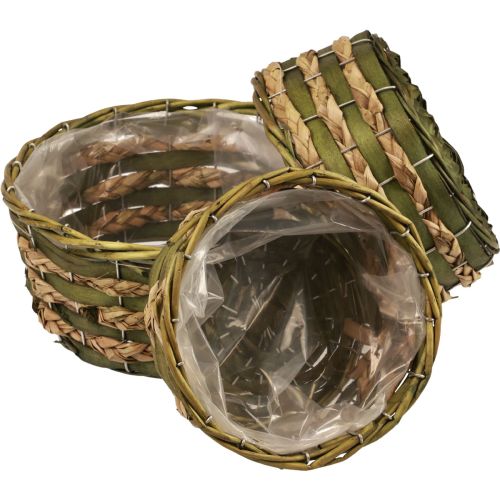 Floristik21 Korb Pflanzkorb geflochten Grün 30×24/26×20/22×15cm 3er-Set