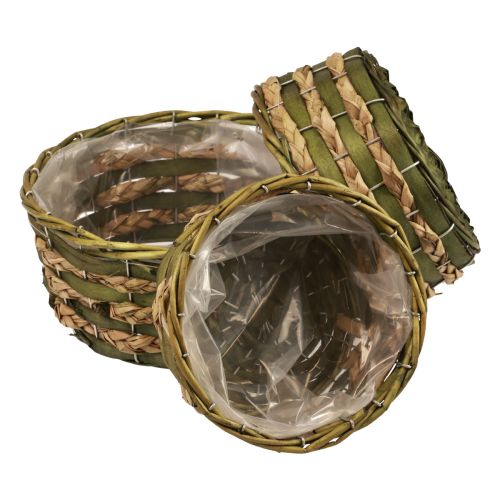Floristik21 Korb rund Pflanzkorb geflochten Grün Holz Ø26/21/18cm 3er-Set