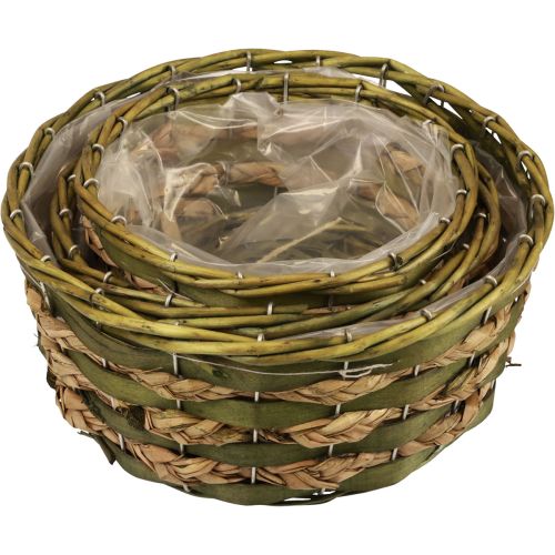 Floristik21 Korb rund Pflanzkorb geflochten Grün Holz Ø26/21/18cm 3er-Set