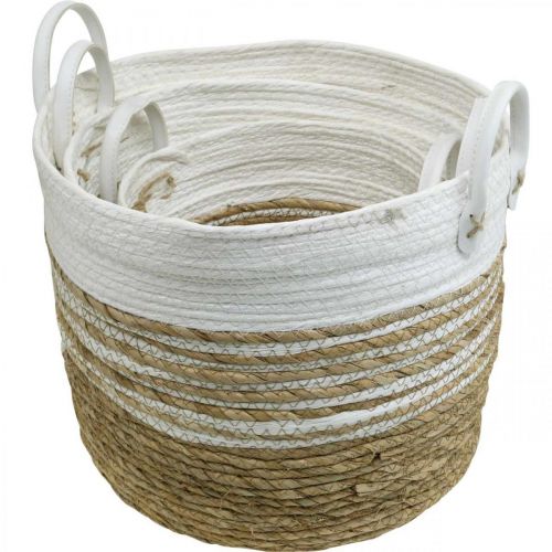 Floristik21 Korb zum Bepflanzen, Utensilo mit Henkeln, Ordnungshelfer Weiß, Natur Ø32/28/23cm H30/25/19cm 3er-Set