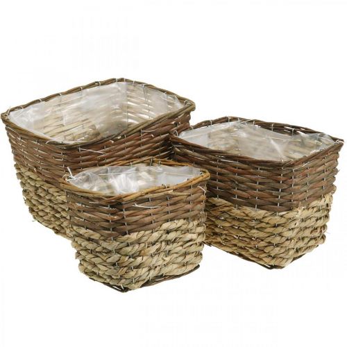 Pflanzkorb, Naturgefäß zum Bepflanzen, Blumenschale eckig Natur L29,5/26/23cm H21/19/16cm 3er-Set