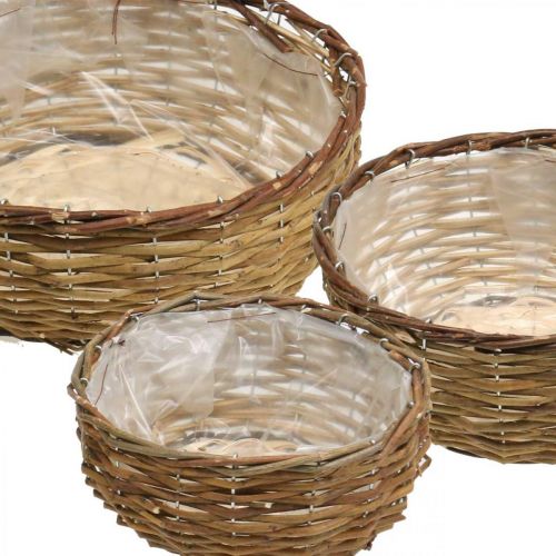 Floristik21 Korbschale Natur Pflanzkorb Weidenkorb Ø21,5/26/Ø31cm 3er-Set