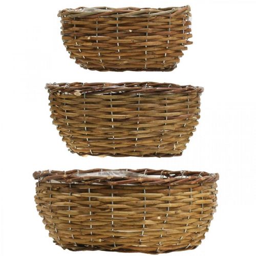 Floristik21 Korbschale Natur Pflanzkorb Weidenkorb Ø21,5/26/Ø31cm 3er-Set