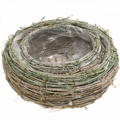 Pflanzkorb rund zweifarbig Rebe, Holz Ø18/25cm 2er-Set
