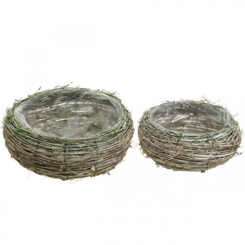 Pflanzkorb rund zweifarbig Rebe, Holz Ø18/25cm 2er-Set