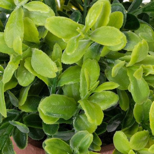 Artikel Kunststoff Kunstpflanze im Blumentopf 18cm für Innenräume 3-teilig