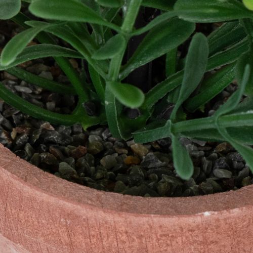 Artikel Kunststoff Kunstpflanze im Blumentopf 18cm für Innenräume 3-teilig