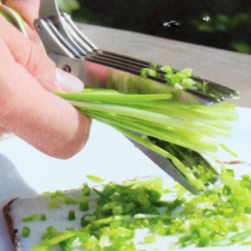 Floristik21 Schnittlauchschere mit 5 Klingen