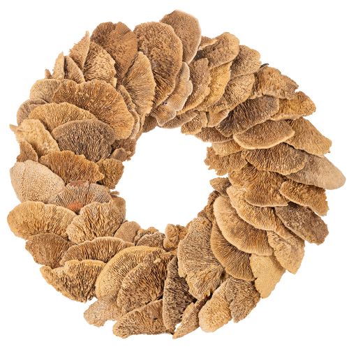 Baumschwamm-Kranz naturfarben Ø 37cm für Tür- und Wanddekoration