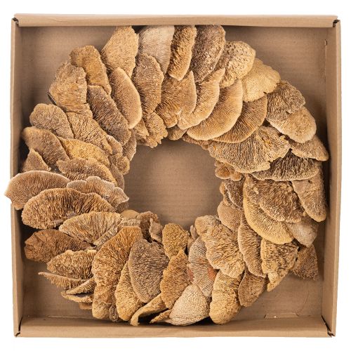 Baumschwamm-Kranz naturfarben Ø 37cm für Tür- und Wanddekoration | Floristik21.de