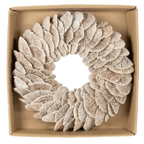 Kranz Baumschwamm Naturfaser Weiß 37 cm Innenbereich | Floristik21.de