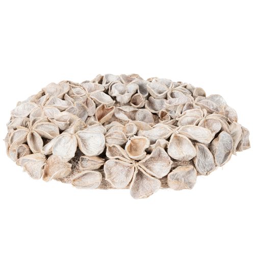 Trockenblumenkranz aus Landlotus, Ø 35 cm, geweißte Blütenoptik, für Innenbereich | Floristik21.de