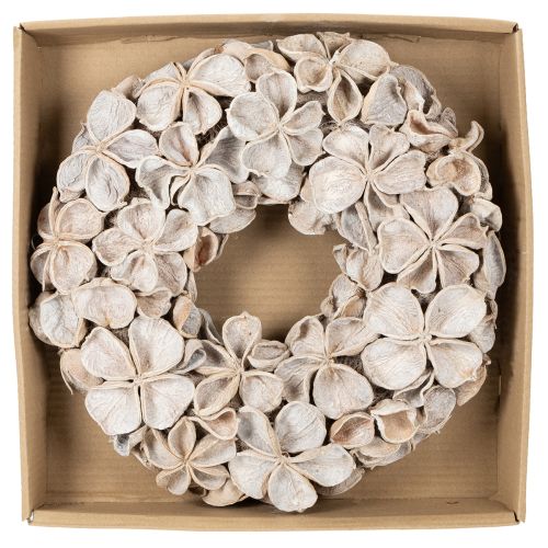 Trockenblumenkranz aus Landlotus, Ø 35 cm, geweißte Blütenoptik, für Innenbereich | Floristik21.de