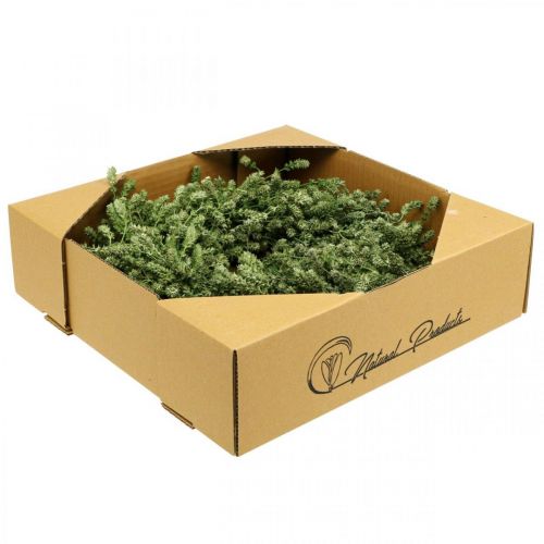 Artikel Weihnachtskranz Deko Grün Trockenblumenkranz Türkranz Leinenkraut Festlich Ø34cm