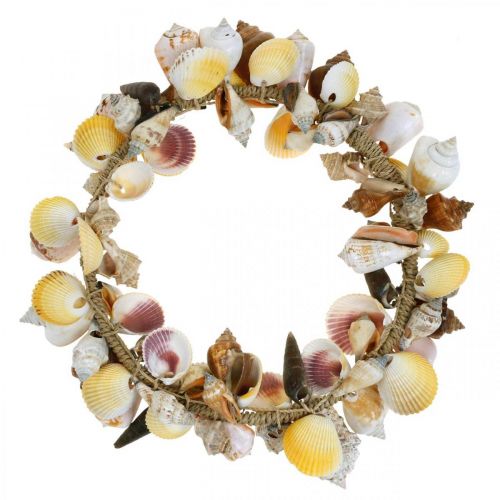 7-8cm maritime Dekoration 5er Set Muscheln Meeresschnecken ca 