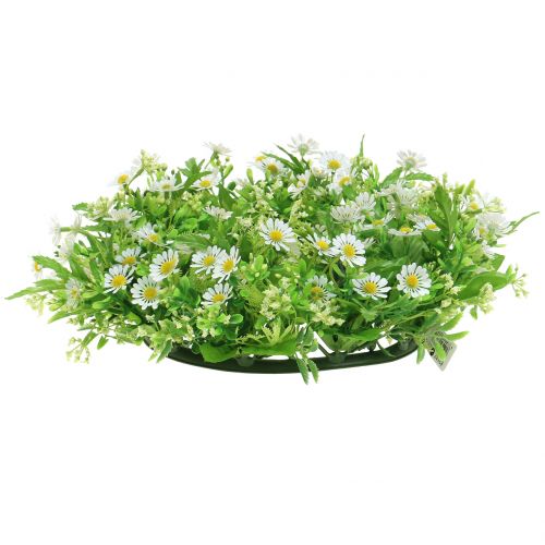 Kranz Gänseblümchen Ø28cm
