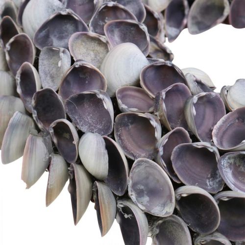 Floristik21 Muschelkranz, Violett Chippy Naturmuscheln, Ring aus Muscheln Ø25cm