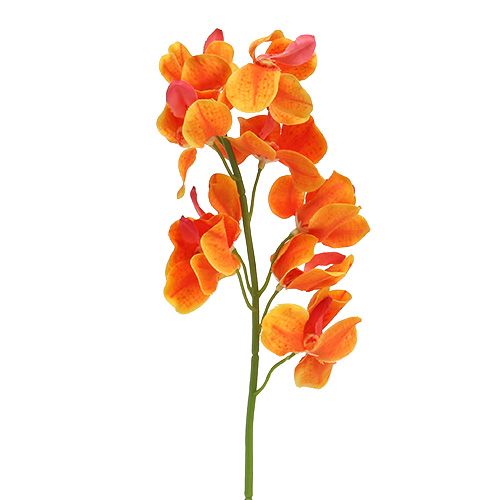 Floristik21 Künstliche Orchidee Mokara Orange 50cm 6St